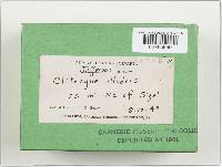 Image Associated With the Occurrence