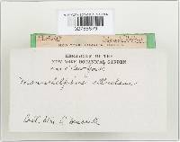 Image Associated With the Occurrence