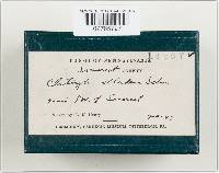 Image Associated With the Occurrence