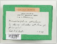 Image Associated With the Occurrence