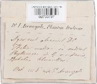 Image Associated With the Occurrence