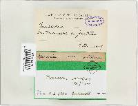 Image Associated With the Occurrence