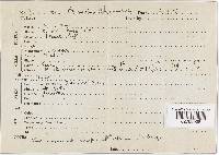 Panaeolus papilionaceus var. papilionaceus image