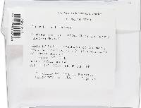 Mucor hiemalis image