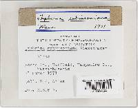 Image Associated With the Occurrence