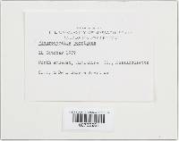 Image Associated With the Occurrence