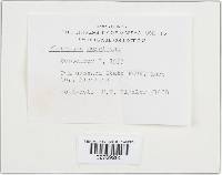 Image Associated With the Occurrence