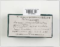 Image Associated With the Occurrence