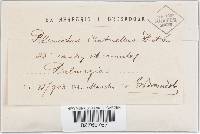 Image Associated With the Occurrence