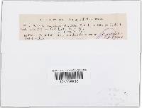 Image Associated With the Occurrence