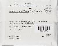 Image Associated With the Occurrence