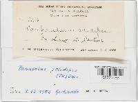 Image Associated With the Occurrence