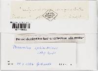 Image Associated With the Occurrence