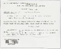 Image Associated With the Occurrence