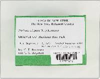 Pholiota adiposa image