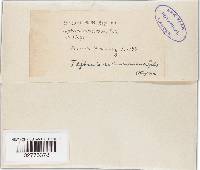 Image Associated With the Occurrence