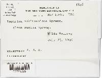 Image Associated With the Occurrence