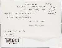 Image Associated With the Occurrence