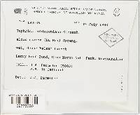 Image Associated With the Occurrence