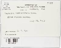 Image Associated With the Occurrence