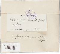 Image Associated With the Occurrence