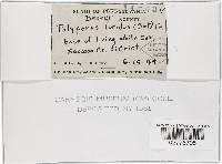 Image Associated With the Occurrence