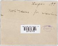 Image Associated With the Occurrence