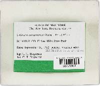 Coltricia cinnamomea image