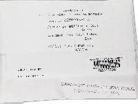 Cordyceps militaris image