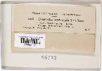 Image Associated With the Occurrence