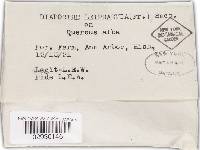 Image Associated With the Occurrence