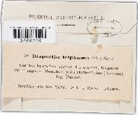 Image Associated With the Occurrence