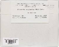 Image Associated With the Occurrence