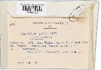 Diaporthe syngenesia image