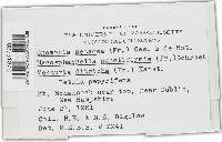 Gnomonia setacea image