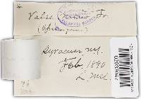 Image Associated With the Occurrence