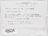 Image Associated With the Occurrence