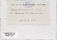 Image Associated With the Occurrence