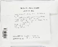 Image Associated With the Occurrence