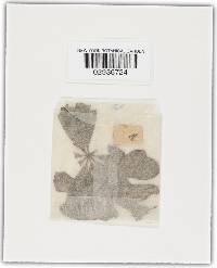 Golovinomyces cichoracearum image