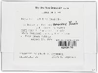 Image Associated With the Occurrence