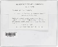 Image Associated With the Occurrence