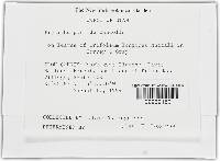 Image Associated With the Occurrence