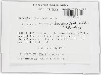 Image Associated With the Occurrence