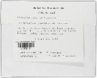 Image Associated With the Occurrence