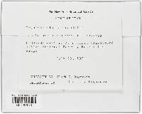 Image Associated With the Occurrence