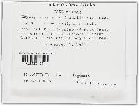 Image Associated With the Occurrence