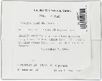 Image Associated With the Occurrence