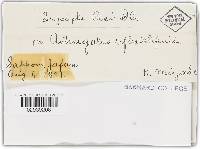 Image Associated With the Occurrence