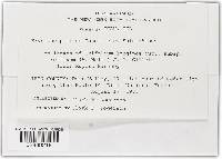 Image Associated With the Occurrence